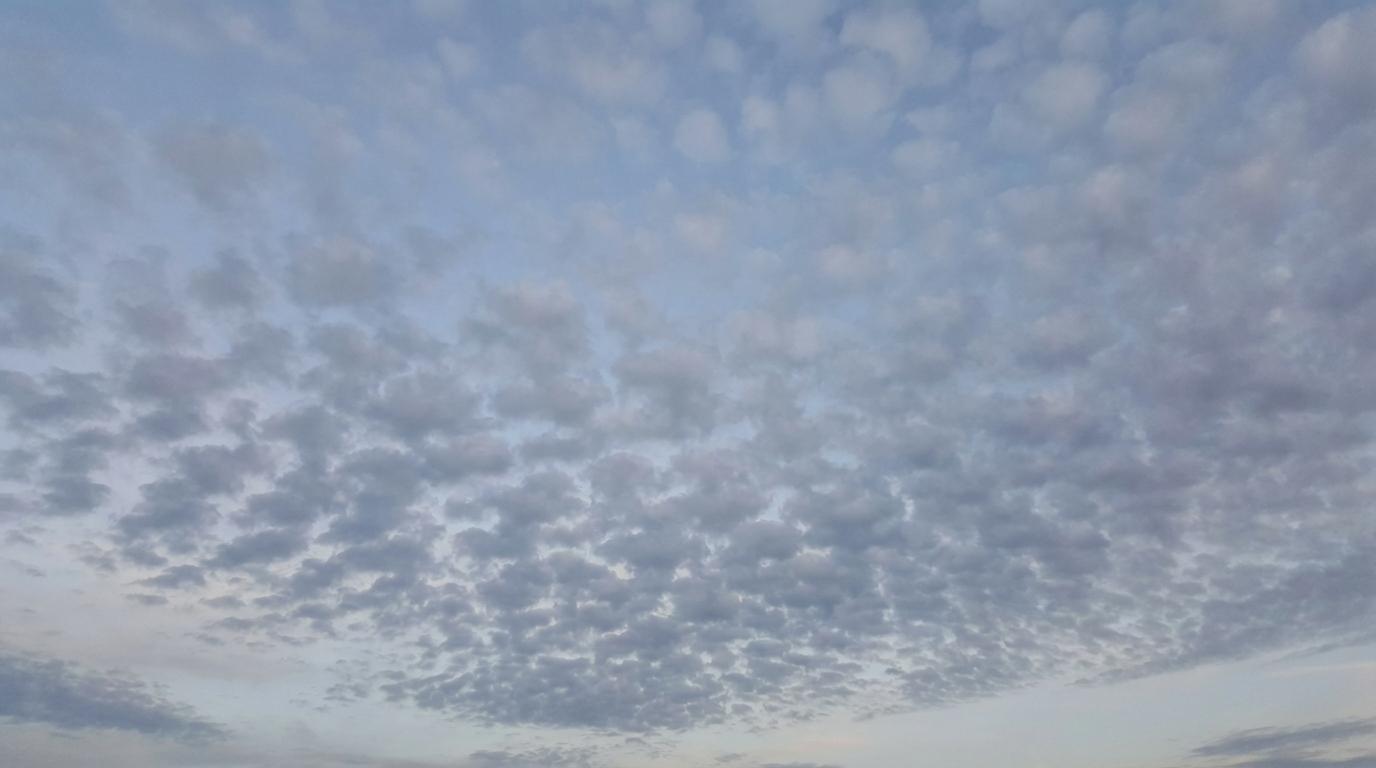 Altocumulus stratiformis