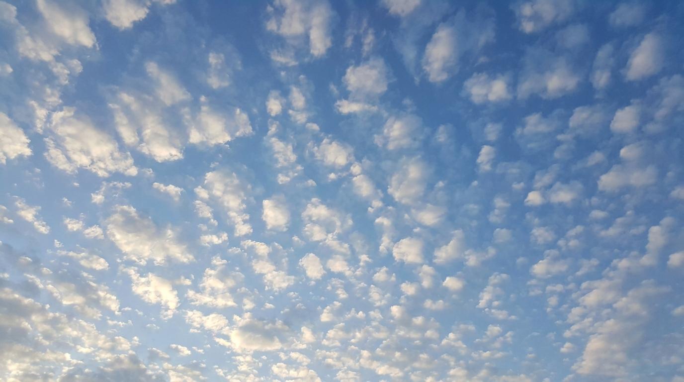 Cirrocumulus floccus