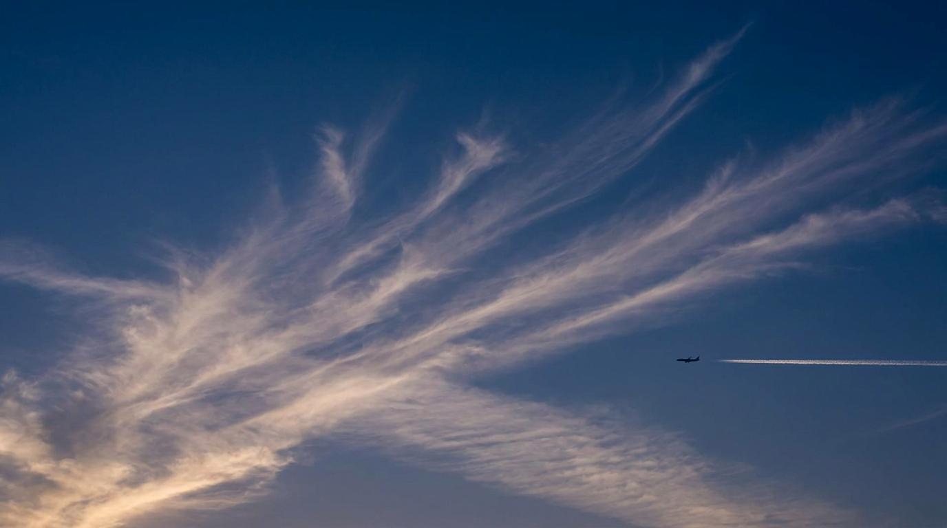 Cirrus homomutatus