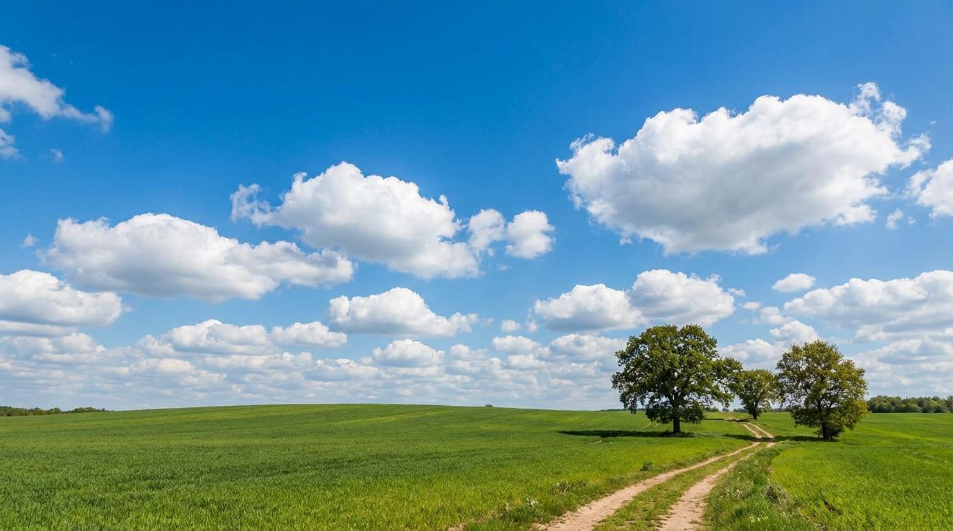 Cumulus humilis