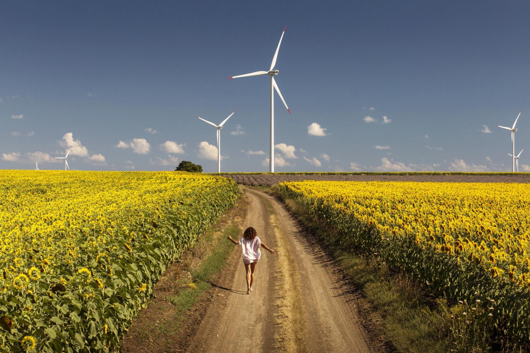 Verändern Windräder das Wetter?